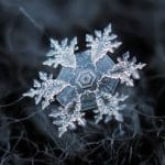 Don’t Miss These Incredible Macro Photos of Snowflakes