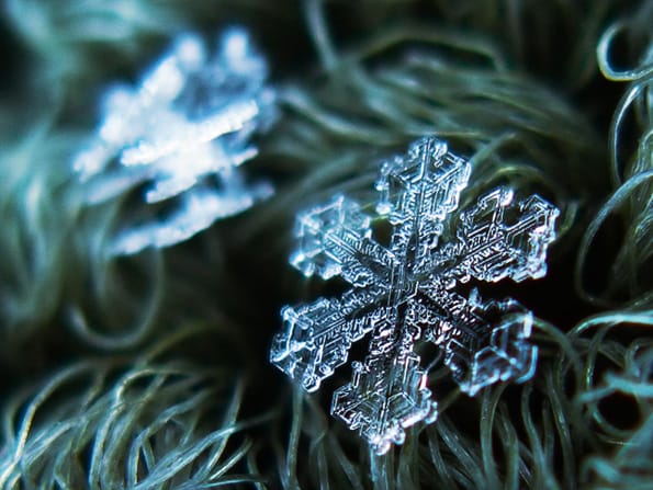 snowflakes-closeup-2