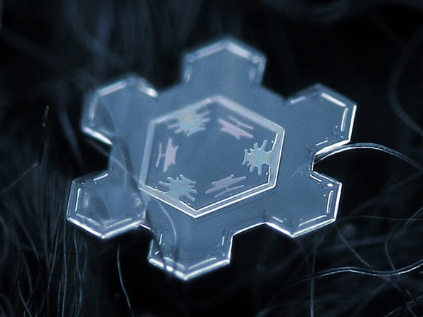snowflakes-closeup-3