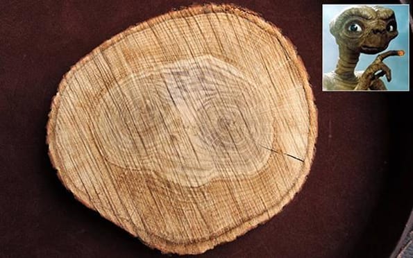 E.T. Spotted In a Log