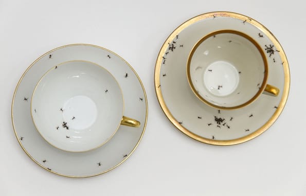 Porcelain-covered-with-ants-6
