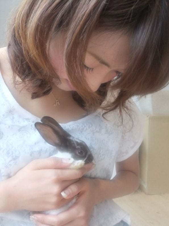 Rabbit Cafe Offers Bunny Snuggles