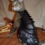 Battle Armor For Cats