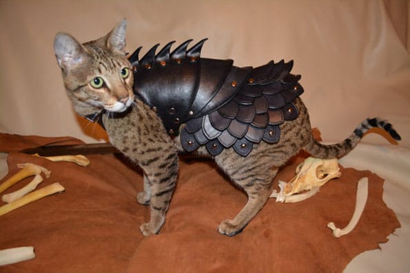 cat-battle-armor-3