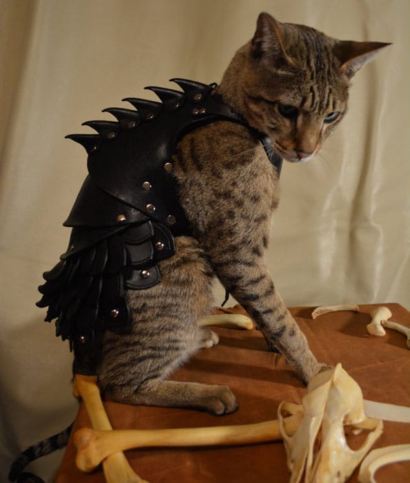 cat-battle-armor-5
