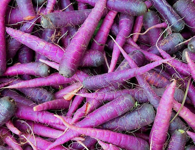 WTF Purple Carrots?!