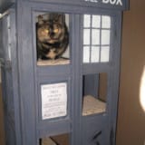 TARDIS Cat Condo