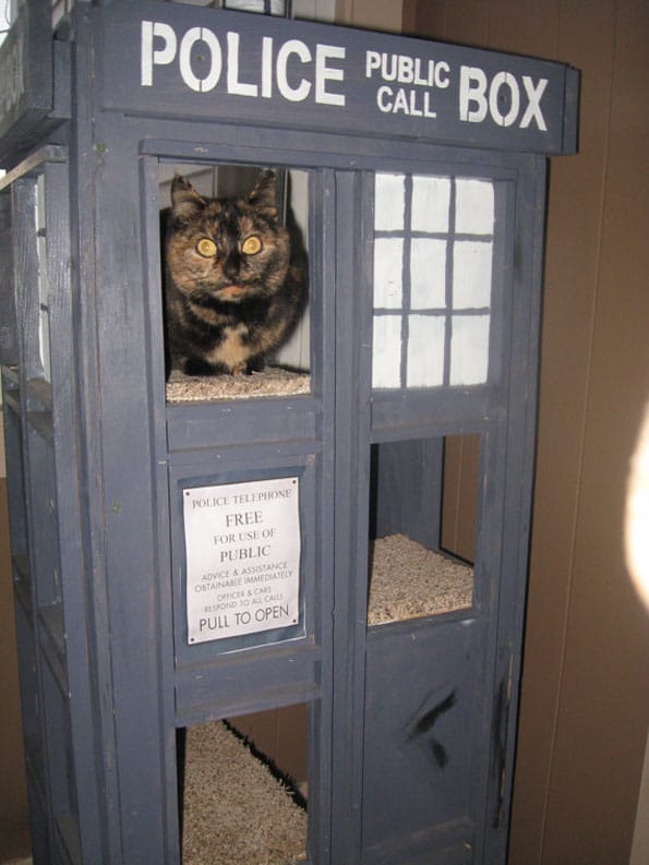 TARDIS Cat Condo