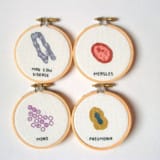 Cross-stitched Microbes