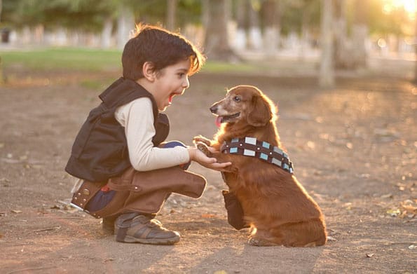 Little Han Solo & Chewbacca Pup