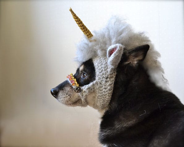 Magical Unicorn Mask For Dogs