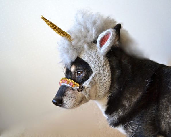 unicorn-mask-for-dogs-2