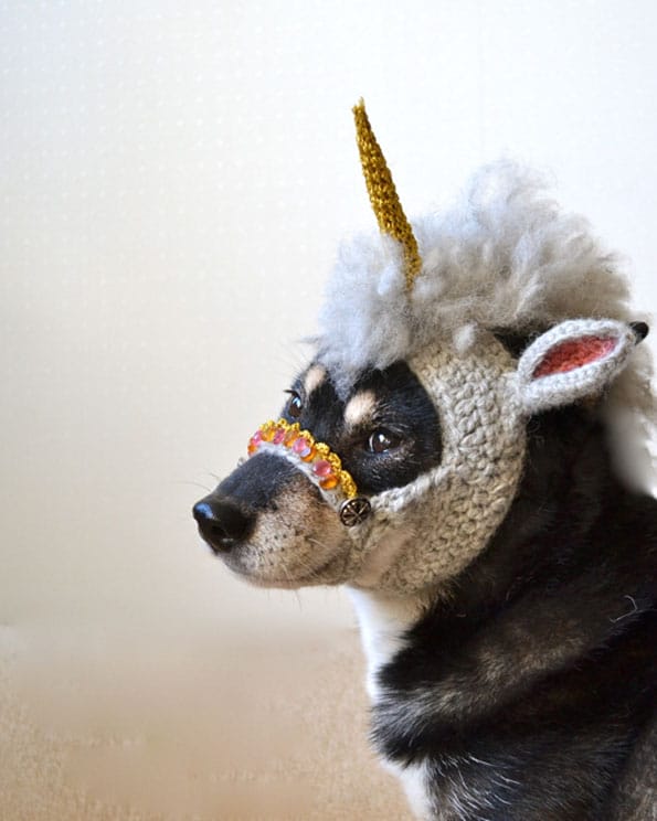unicorn-mask-for-dogs-3
