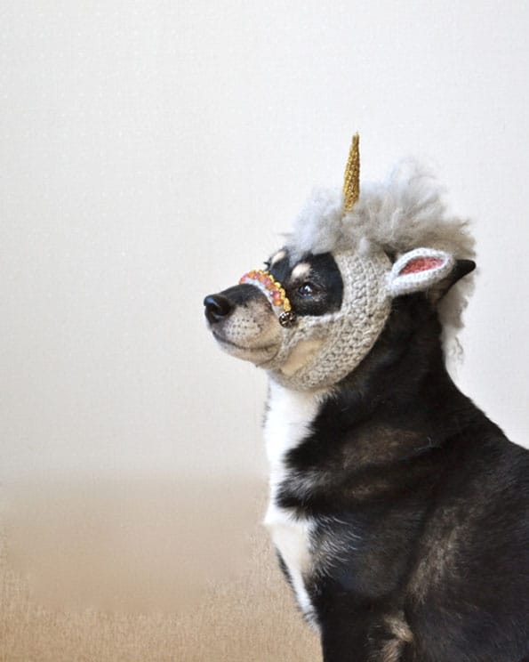 unicorn-mask-for-dogs-4