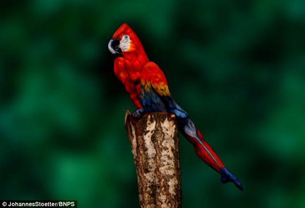 This Parrot Body Paint Is Eye Tickery!