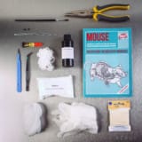 Mouse Taxidermy Kit