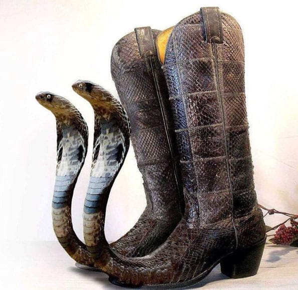 The Ssslickest Snake Cowboy Boots