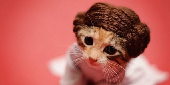 Kittens As Pop Culture Characters Is Painfully Cute