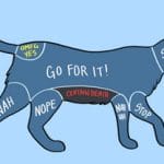LOL: A Diagram Depicts Where To Pet Animals