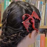 Dragon Hair Clips