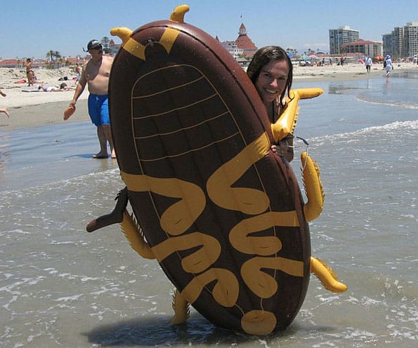 A Definite Summer Must-Have: Giant Cockroach Float