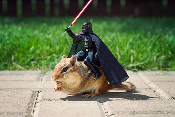 Chipmunks Join The Star Wars Cast & More Incredible Links