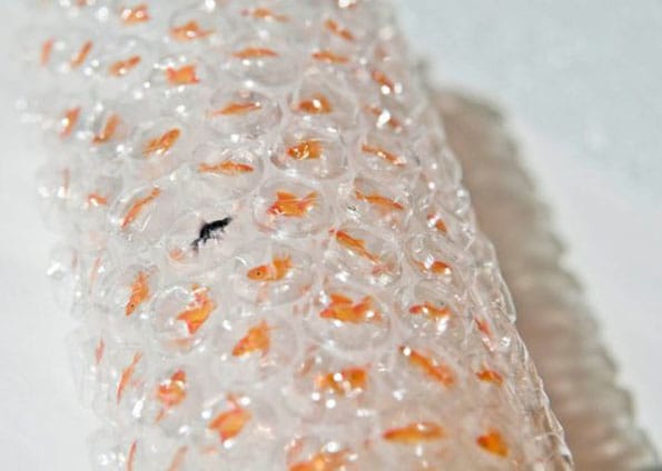 Goldfish Bubble Wrap Is Morbid, But Probably Still Fun To Pop