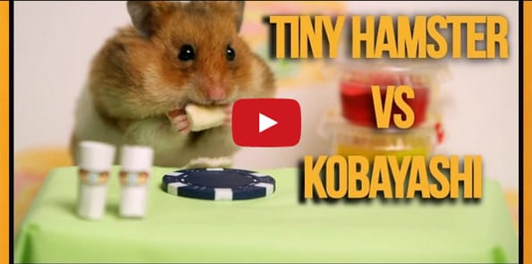 Hamster Battles Kobayashi In Hot Dog Eating Contest