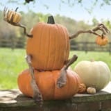 Pumpkin Appendages