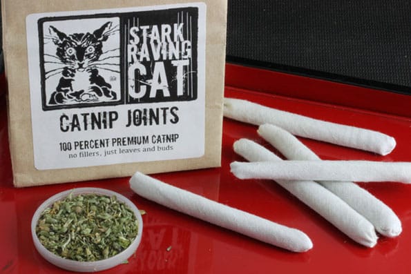 Now Kitties Can Celebrate Furr-20 With These Catnip Joints