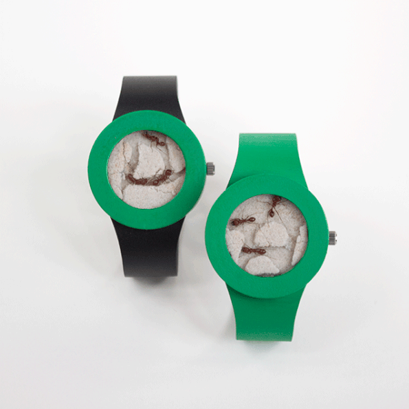 The Ant Watch Will Not Actually Keep The Time, Is Still Cool