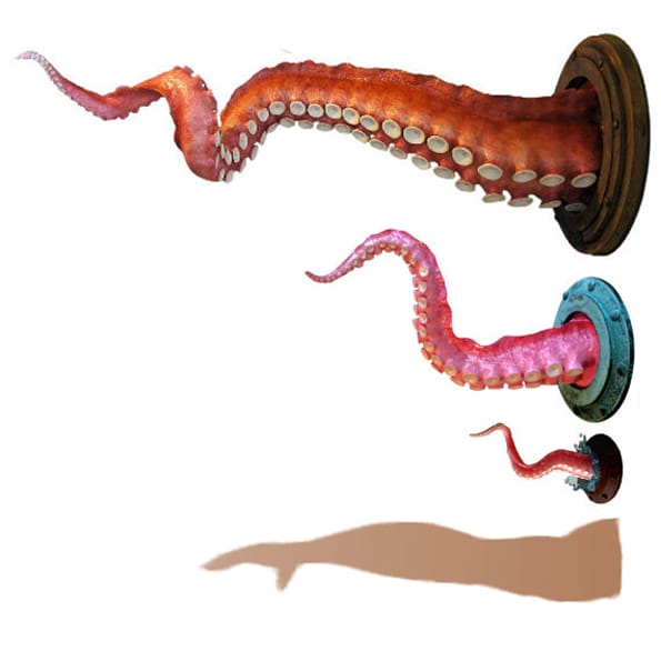octopus-tentacle-trophy-mount-2