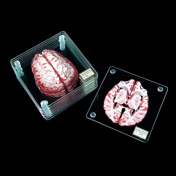 brain-coasters-2