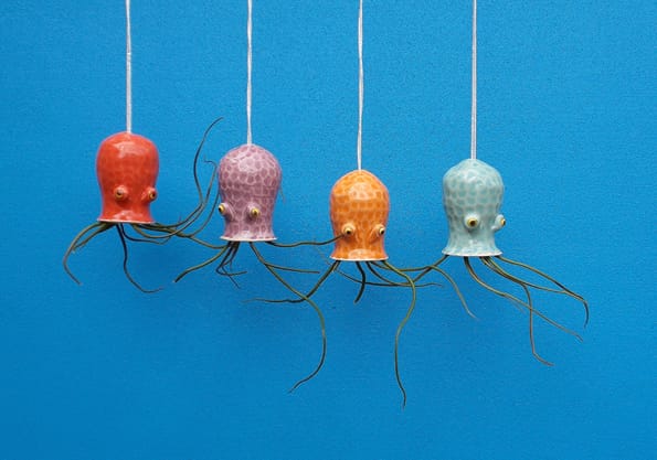 These Jellyfish, Octo, & Squid Air Plant Holders Are SO CUTE