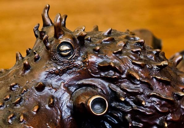 octopus-coffee-table-3