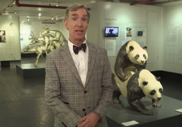 Bill Nye Explains Sex And Now I Don’t Know How To Feel