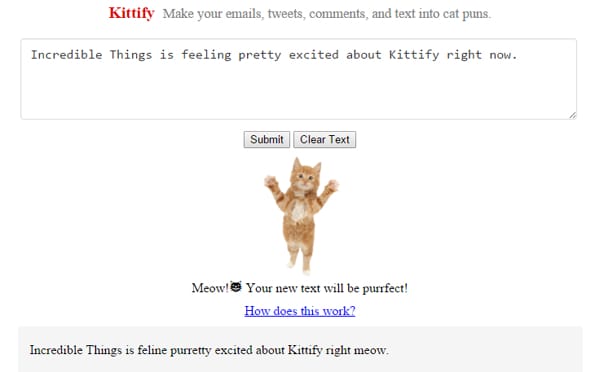 This Website Turns Your Regular Text Into Glorious Cat Puns
