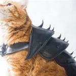 This 3-D Printed Cat Armor Prepares Your Kitty For Battle