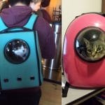 This Pet Carrier Has A Window For Your Furbaby To Peek Out Of