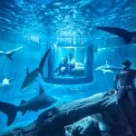 Sleep With The Fishes (And Sharks!) In An Underwater Airbnb