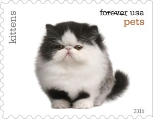 USPS Is Releasing Cat Stamps!
