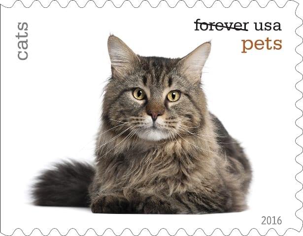 cat-stamps-2