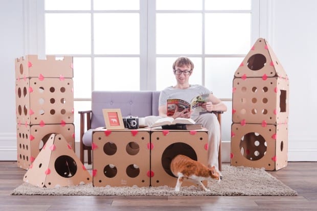 Connectable Cardboard Creates Customizable Cat Houses