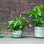 No More Repotting: The Origami Pot Grows With Your Plant