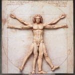 Leonardo da Vinci's Vitruvian Man Action Figure Because Why Not?