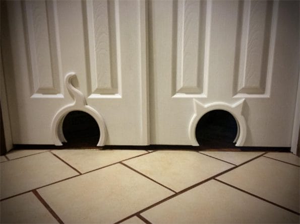 kitty-pass-cat-door-1