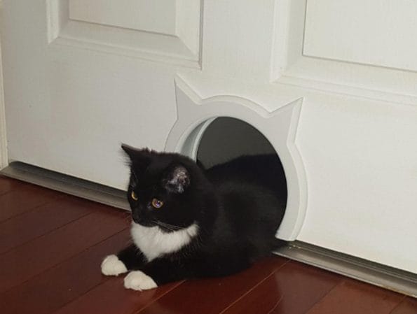 kitty-pass-cat-door-2