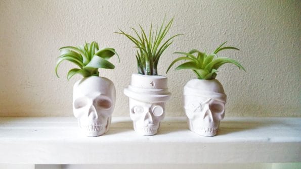 skull-planters-2