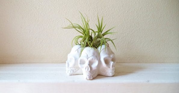 skull-planters-3