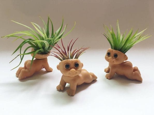 plantroll-troll-doll-airplant-hair-1